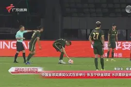 开云网址入口 - 王楚钦是横版还是直板 